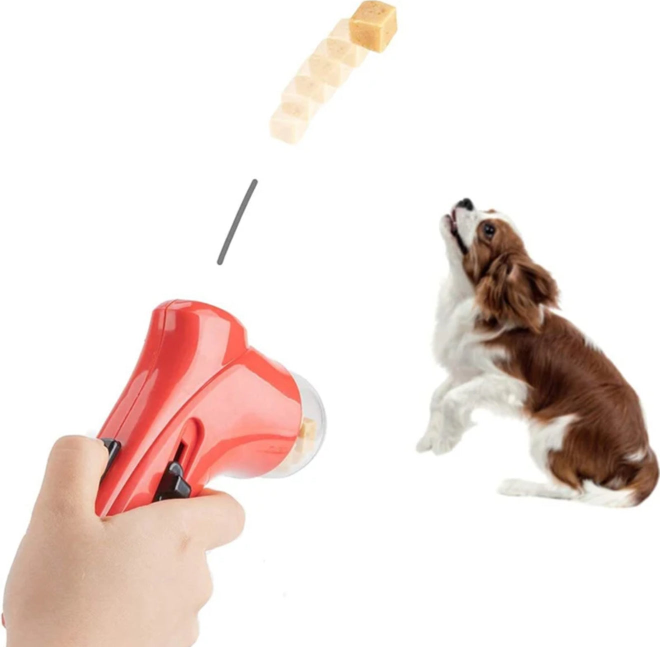 Pet snack louncher 🐶🐈